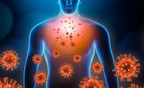 7 Natural Ways to Fortify Your Immune System
