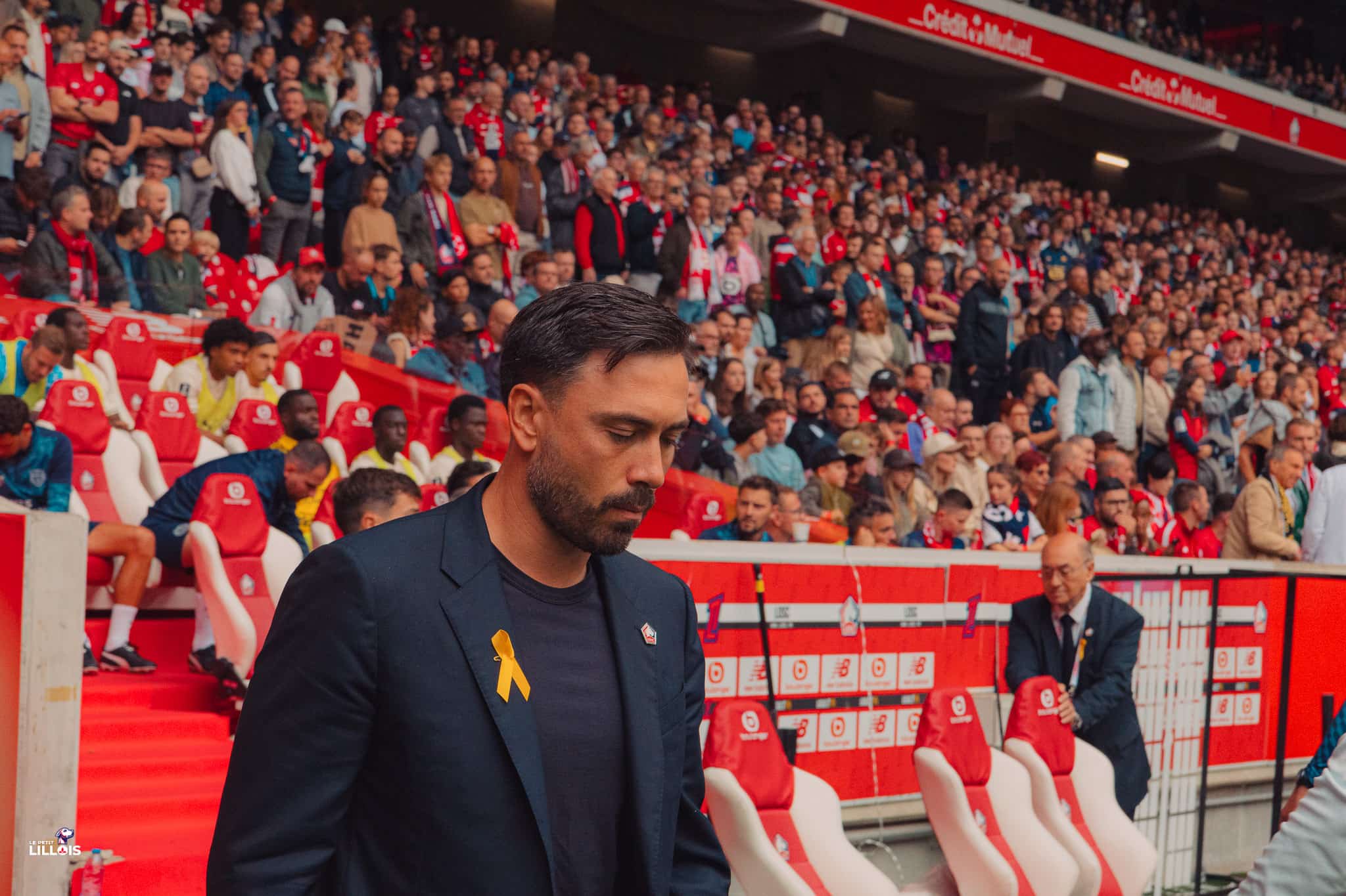 Davide Ancelott, entraîneur du LOSC.