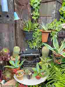 Geoff has decorated his garden with a type writer to create an interesting piece of decoration. As well as being the owner of an award winning garden, Geoff is also a writer