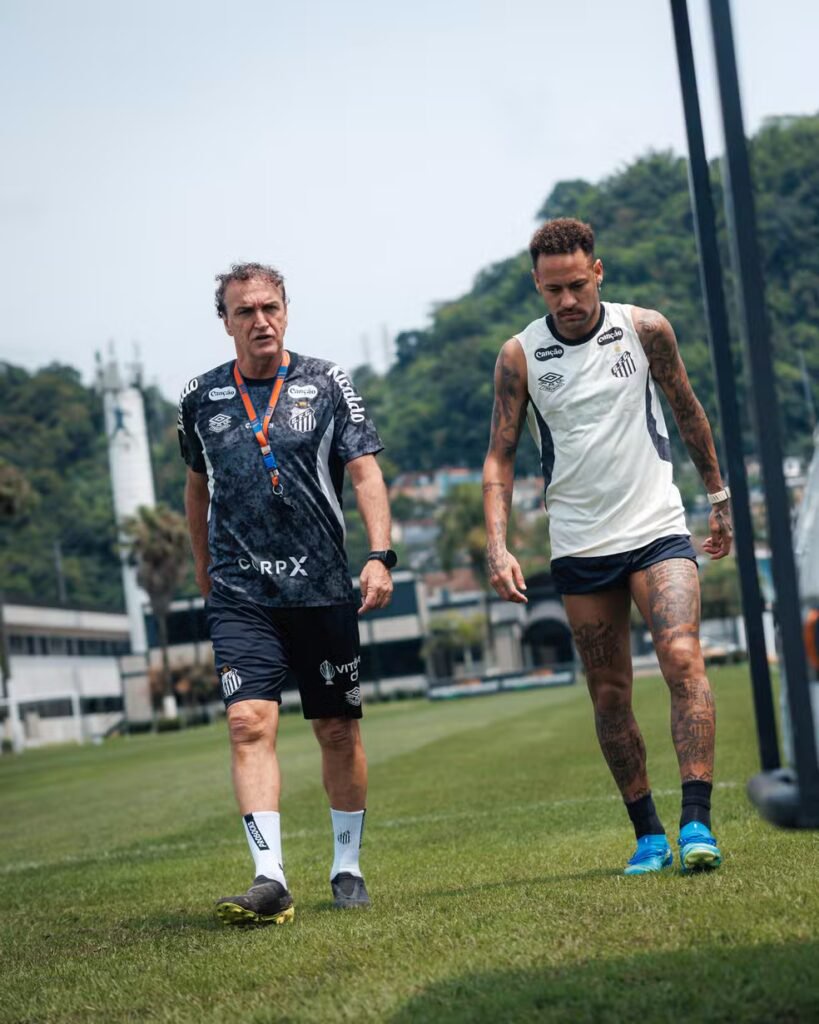 Foto: Raul Baretta / Santos FC