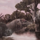 500-Pound Prehistoric Bird Was a ‘Giga-Goose,’ Fossils Reveal