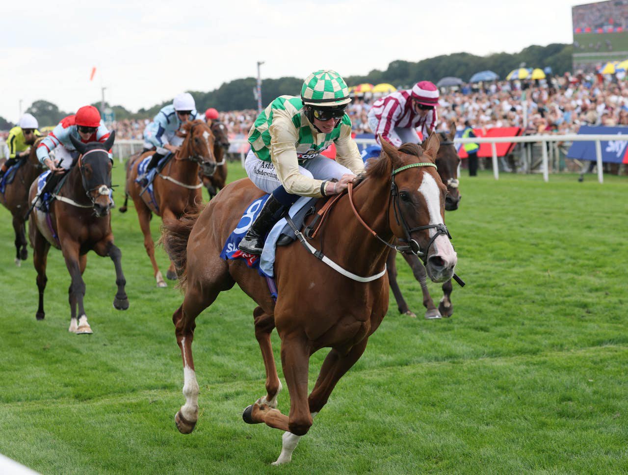 Daiquiri Bay heads to Ascot in top form 