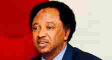 Shehu Sani said. "The Greatest Mistake Of PDP Was The Loss Of Peter Obi, Not Wike, Kwankwaso And Other G5"