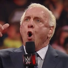 Ric Flair Was Kicked Out Of A Restaurant Following A Confrontation Over Bathroom Usage, And The Allegations Are Flying On Social Media