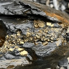 Fool’s Gold May Actually Be More Valuable Than We Realized