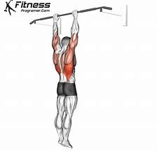 Image result for dead hangs exercise