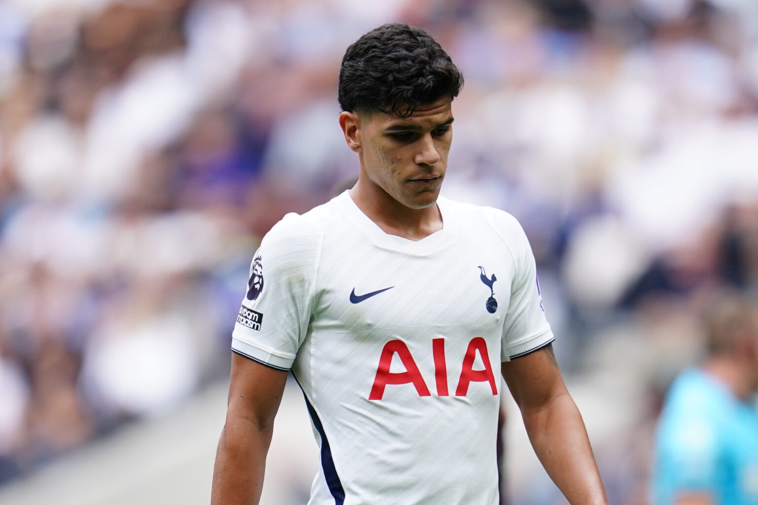 Tottenham Mateus Fernandes