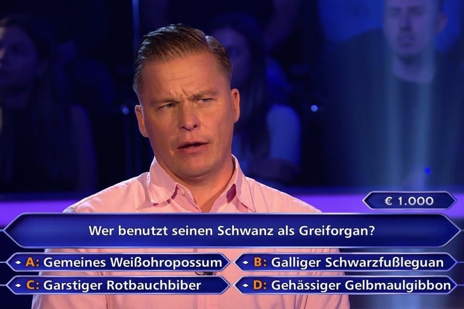 Eine durchaus fiese 1000-Euro-Frage wurde Lok Leipzigs Pressesprecher Carsten Muschalle (46) zum Verhängnis.