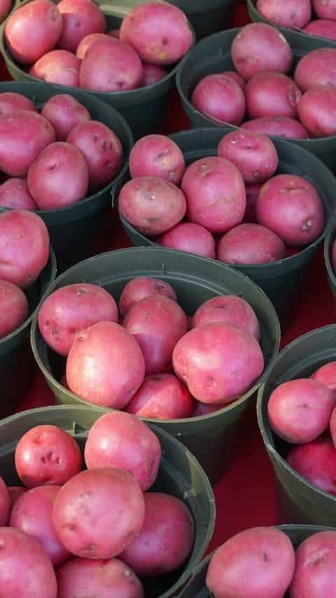 Nutritional Benefits of Red Potatoes
