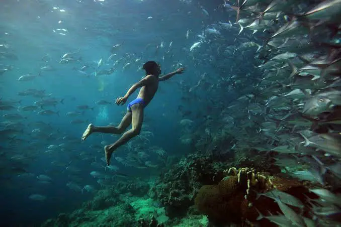 Meet Bajau People Spend Most Their Lives Underwater, Here They Survive