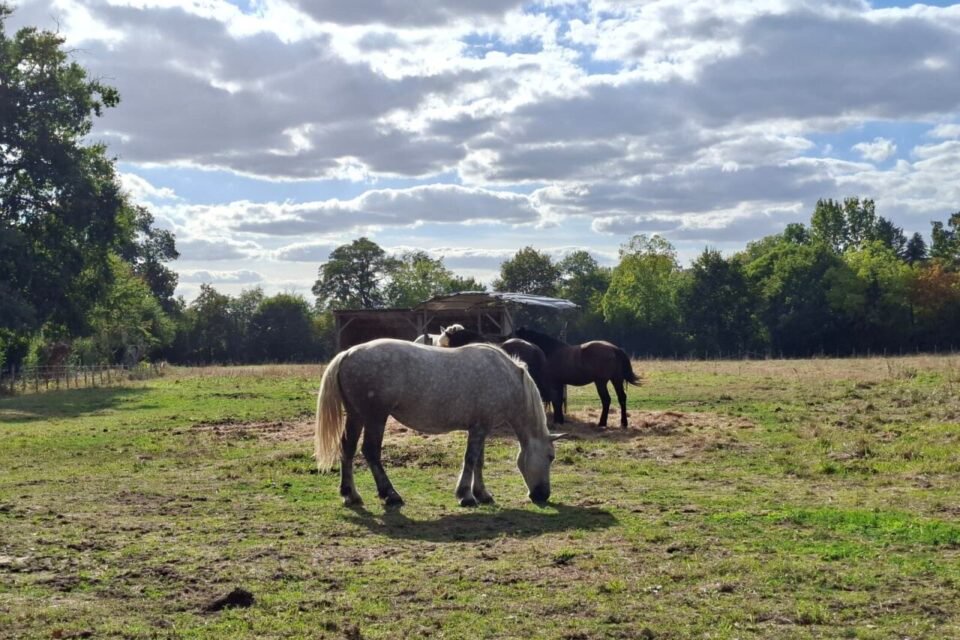 Voici les prévisions de Météo-France en Sarthe pour cette semaine.
