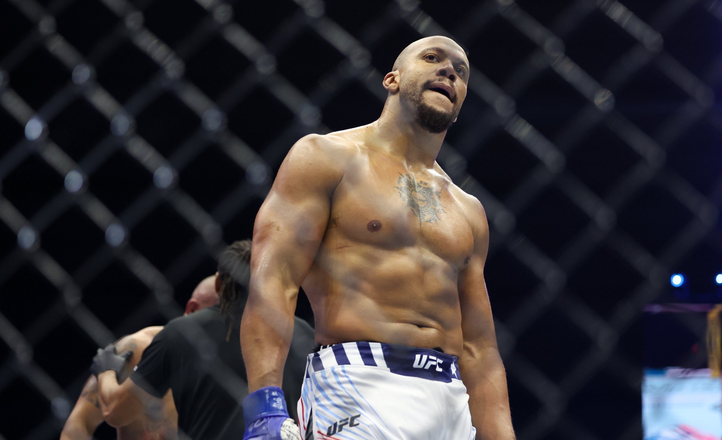 ufc pound for pound rankings