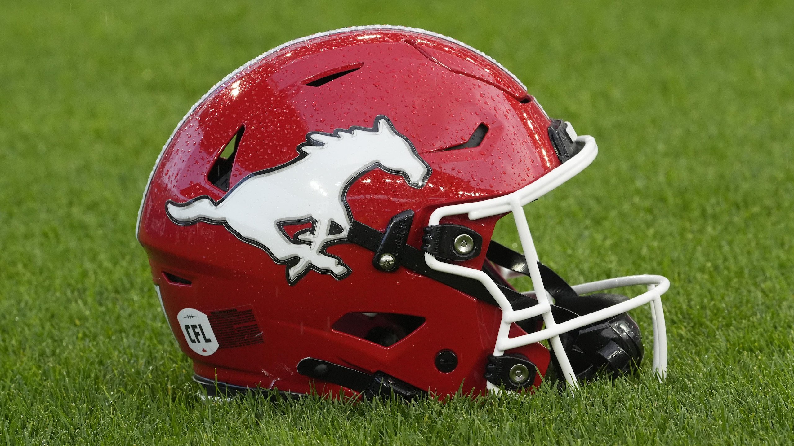 Calgary Stampeders v Toronto Argonauts