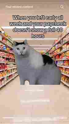 huh cat in grocery store aisle with caption 'When you left early all week and your paycheck doesn't show a full 40 hours'