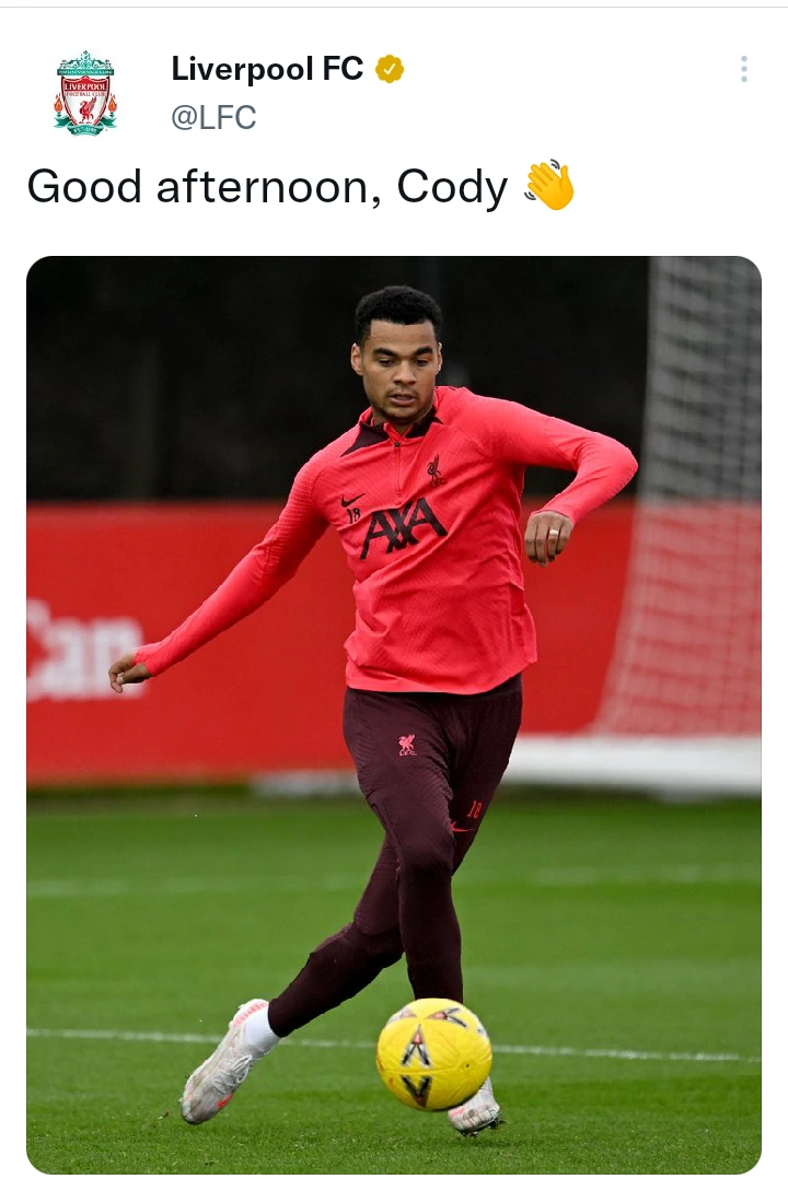 Liverpool's new signing Cody Gakpo training for the first time at AXA training center