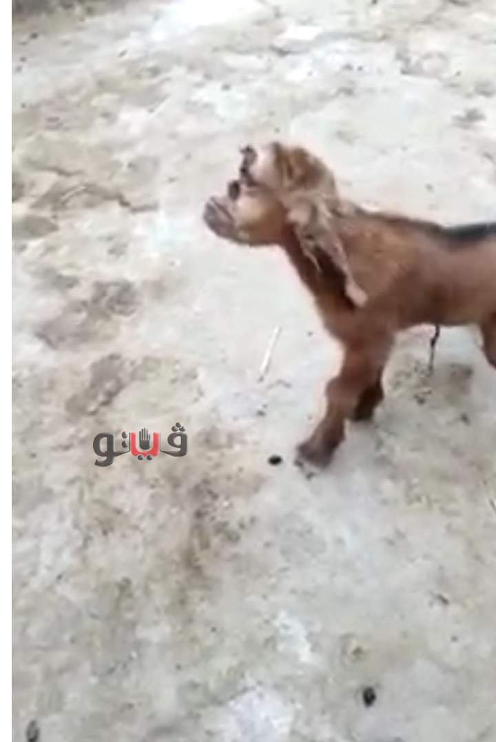 6f0a2f8157aed27ef38eb08248856584 1?source=nlp&quality=hq&format=webp&resize=720