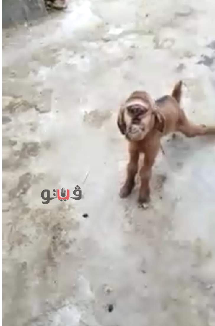 6f0a2f8157aed27ef38eb08248856584 3?source=nlp&quality=hq&format=webp&resize=720