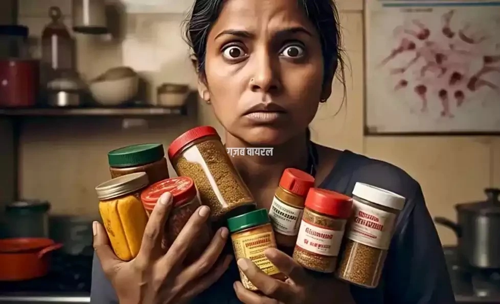 masala bharat ka