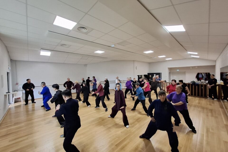 Cours de Taï-Chï encadré par les ma^tres chinois pour Pradines Chansi.