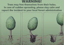 Warning! Trees may free themselves from their holes. In case of sudden uprooting, please stay calm and report the incident to your local forest administration