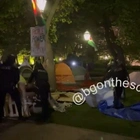 University of Chicago dismantles anti-Israel encampment as students claim they were ‘ambushed’ while sleeping