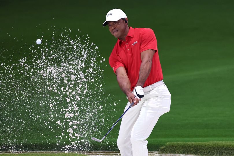 Tiger Woods could return to playing competitive golf in the next 12 months