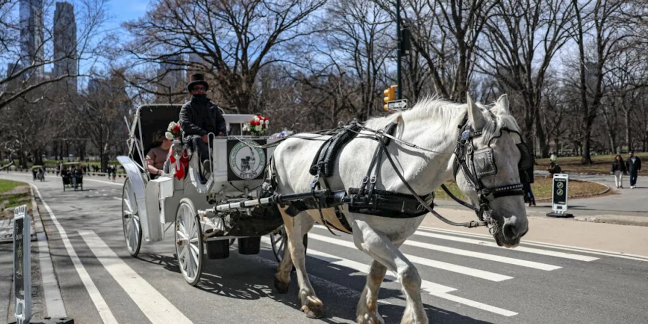 Aus für Pferdekutschen in New York - und bald auch anderswo?