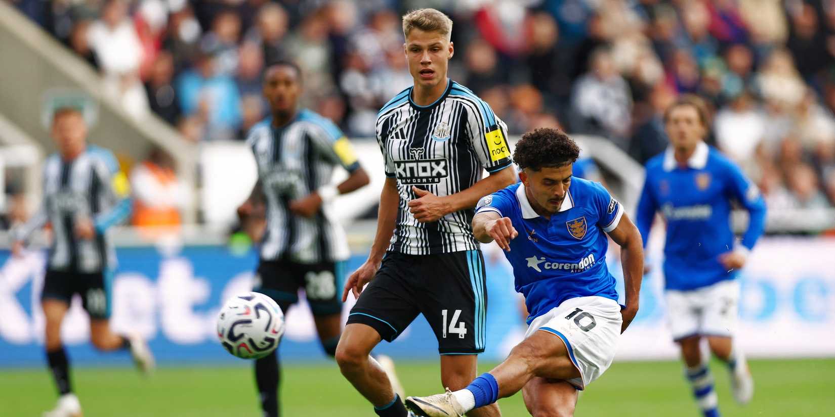 Sean Steur for Newcastle