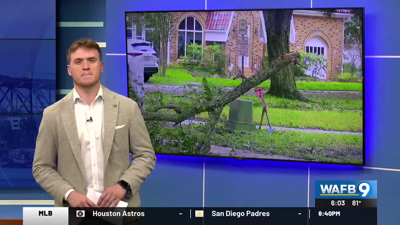 Insurance Market Impact of Hurricane Francine in Louisiana Explained