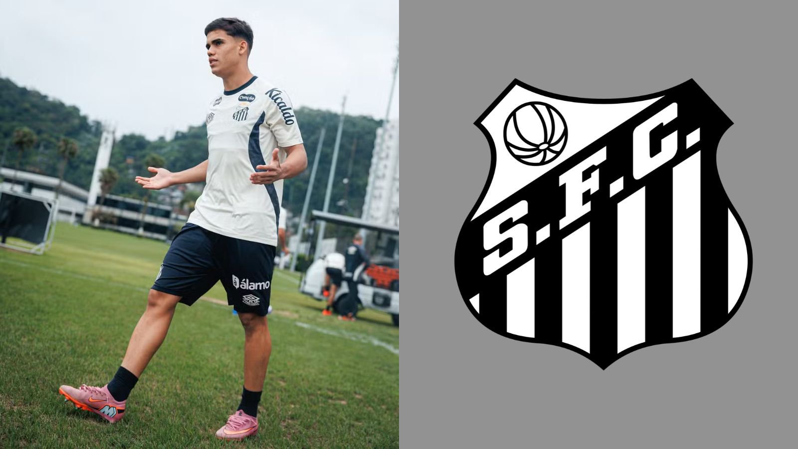 Foto: Raul Baretta/ Santos FC