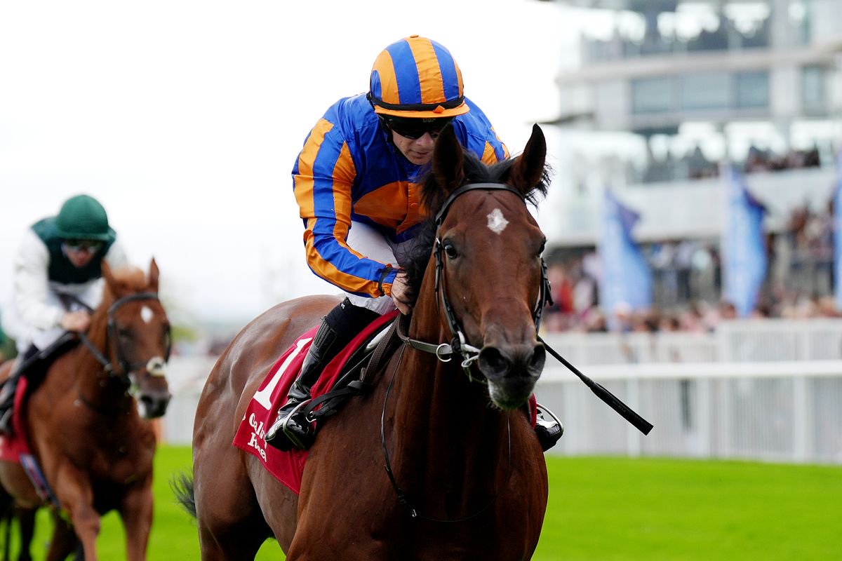 Constitution River: runs in Champion Stakes despite £70,000 supplementary entry for the QEII