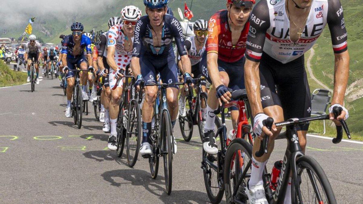 Tour de France 2027 : le Parc des Oiseaux de Villars-les-Dombes accueillera le départ de la 9e étape
