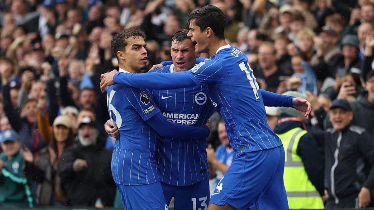 Brighton players celebrate a goal