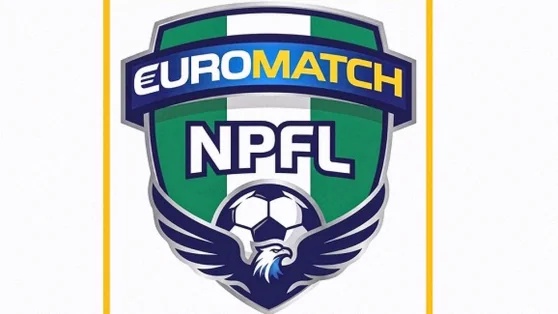 NPFL Cautions Barau FC After Stewards Enter Pitch Against Kwara United