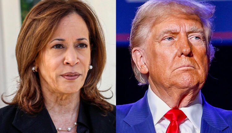 73c2f92c8b6191256ff6dec04a0121cf?source=nlp&quality=hq&format=webp&resize=720