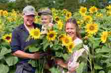 This is the first year the Sunflower Sundowner will come to Ha Ha Farm