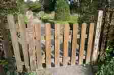 A wooden fence in a garden