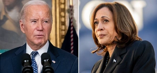 Democratic National Committee to nominate Biden, Harris virtually ahead of Chicago convention