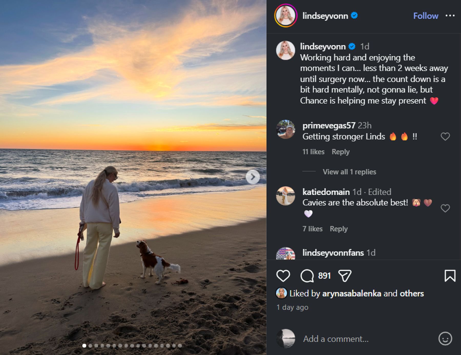 Spaziergang bei Sonnenuntergang: Lindsey Vonn mit Hund Chance. In weniger als zwei Wochen steht die nächste Operation an.
