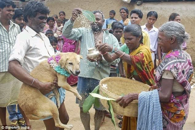 Meet this beautiful lady who happily married a dog (Photos)