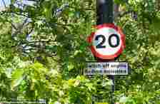 Nearly three quarters (74%) of the respondents to the survey said signs showing speed limits are the most likely to be covered by vegetation