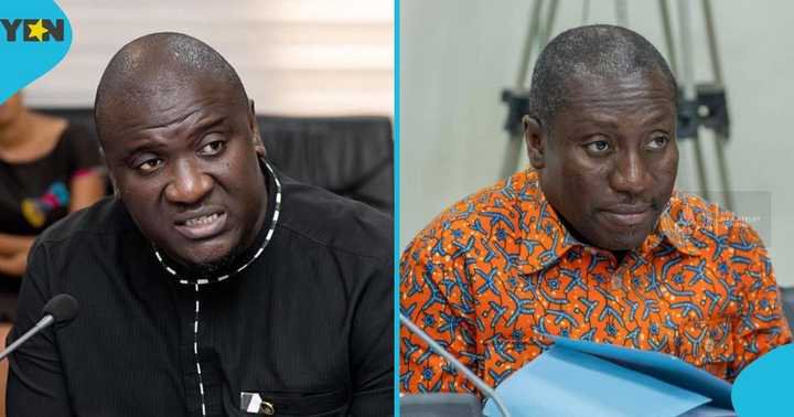 Anthony Abayifaa Karbo, Alexander Afenyo-Markin, Minority Leader, NPP, Dr Mahamudu Bawumia, Kennedy Agyapong, flagbearer race