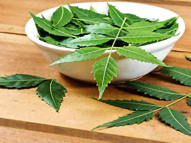 Neem for hair care, Home remedies for hair growth, Hair growth remedies, How to grow long hair naturally, How to use neem to boost hair growth