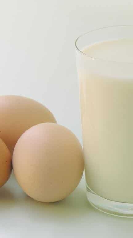 Egg