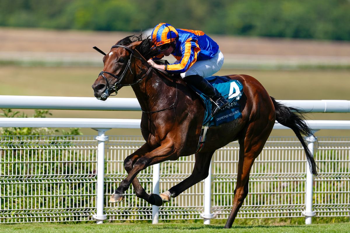 Diamond Necklace: runs in the Turf