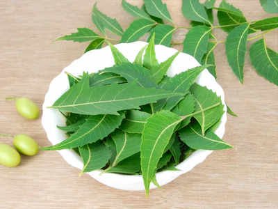 Neem