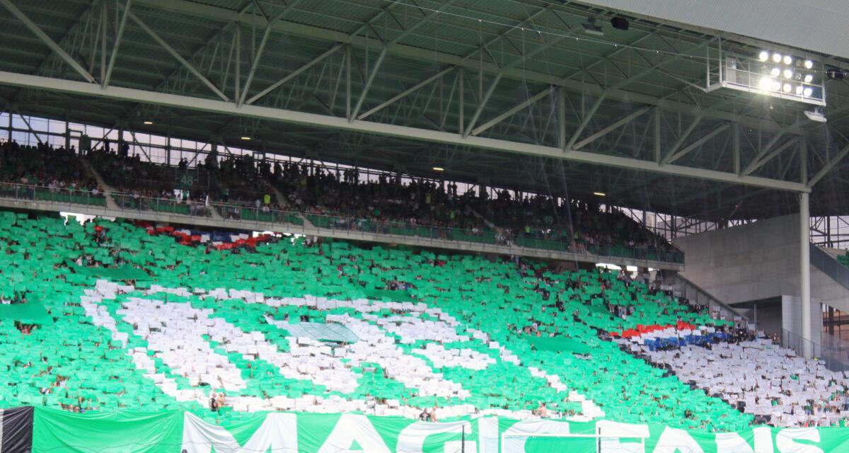 Magic Fans (Saint-Étienne)