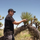 Can you make music from Joshua trees — or is that wild science? Yes.