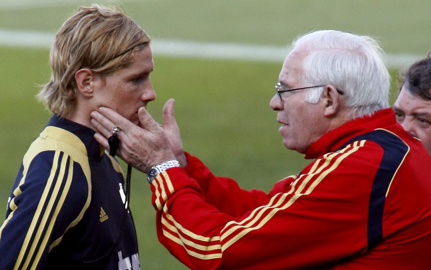 Luis Aragones and Fernando Torres