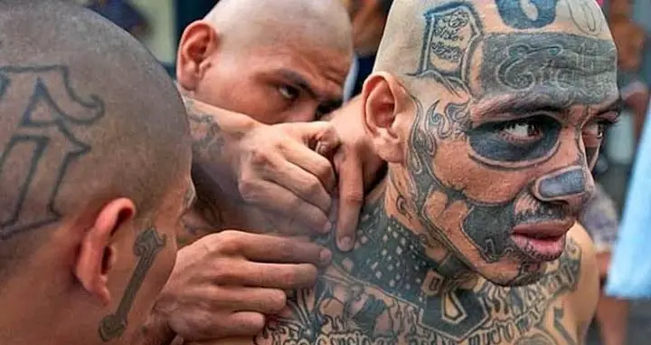 783c5374aab1432ea31a9d89131f8472?quality=hq&format=webp&resize=720